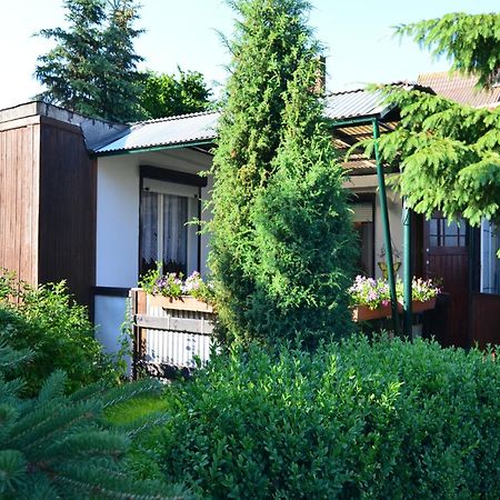 Holiday Home In Cattenstedt Harz With Garden Eksteriør billede