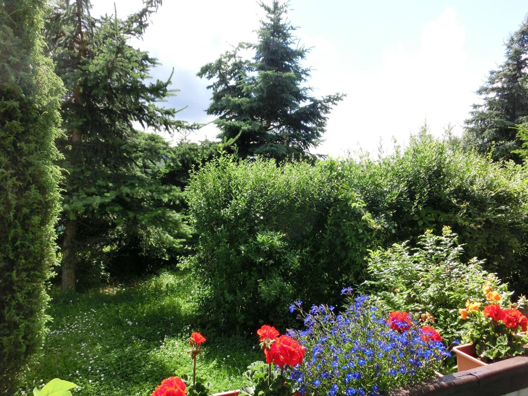 Holiday Home In Cattenstedt Harz With Garden Eksteriør billede